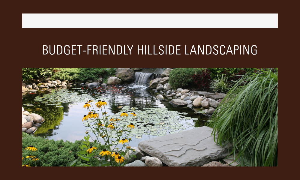 hillside landscaping ideas on a budget