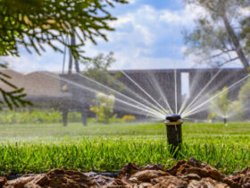 irrigation system installation