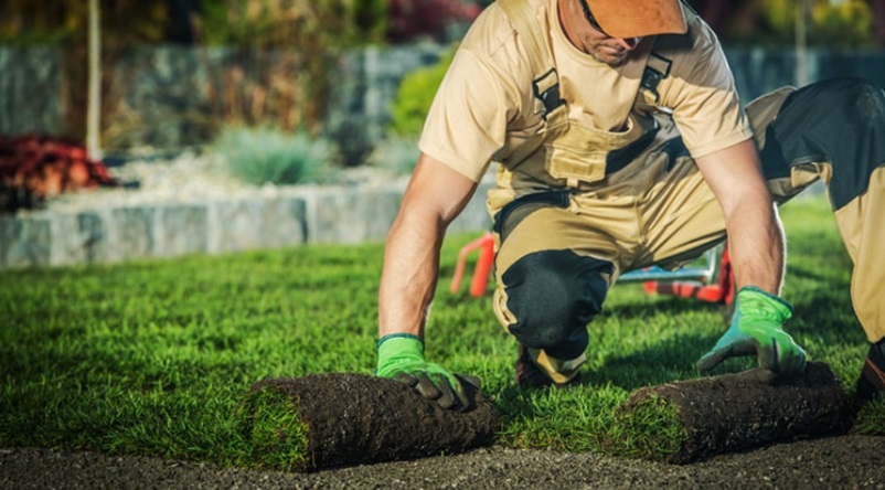 First Landscaping Consultation