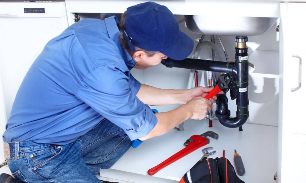 professional plumber