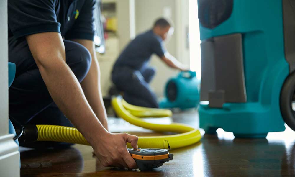 water damage cleanup service